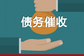 白朗如何避免债务纠纷？专业追讨公司教您应对之策